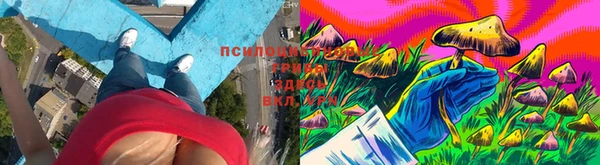 амф Нязепетровск